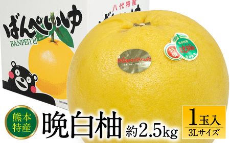 ys\z F{sY ӔM 3LTCY 1ʓ 2.5kg ʕ  t[c k ʕ Yi  y2025N12{菇z