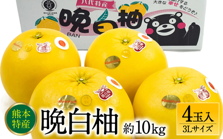 ys\z F{sY ӔM 3LTCY 4ʓ 10kg ʕ  t[c k ʕ Yi  y2025N12{菇z