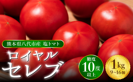 [先行予約] くまもと塩トマト「ロイヤルセレブ」 1kg (糖度10度以上:9〜16個入り) [2025年1月上旬より順次発送]