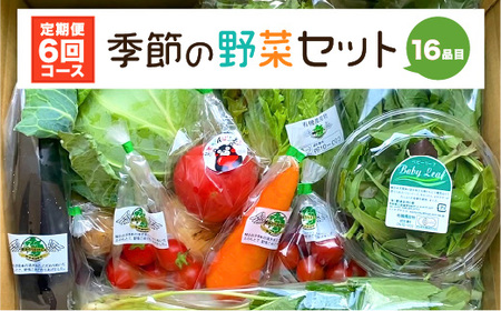 [定期便6回] 季節の野菜セット 16品目