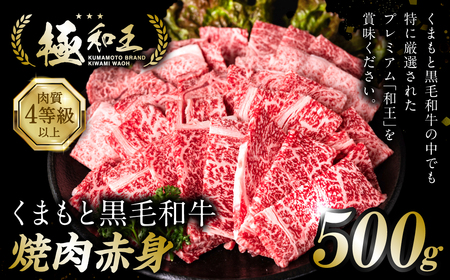 極和王シリーズ くまもと黒毛和牛 焼肉赤身 500g 熊本県産 牛肉