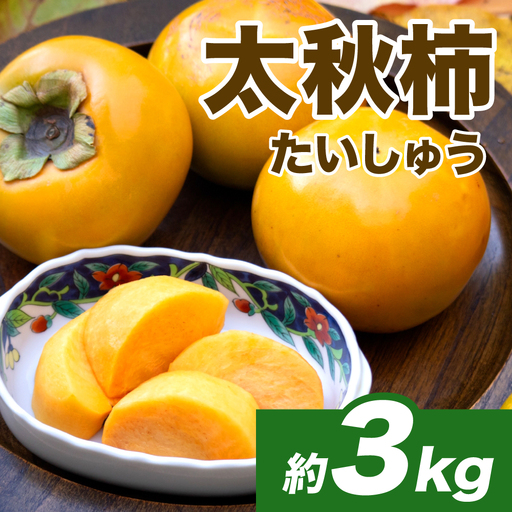 【先行予約】 太秋柿 約3kg （8～15玉） フルーツ くだもの 果物 柿 かき カキ おやつ デザート 秋の味覚 秋 旬 熊本県 八代市 【2026年10月上旬より順次発送】