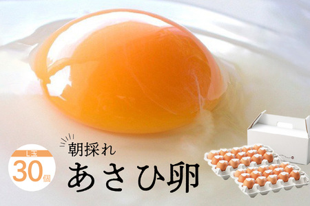 卵かけごはん専用 あさひ卵 L玉サイズ×30個(25個+破損保証5個)