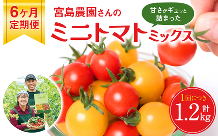 ys\z y6z~jg}g (~bNX) 1.2kg×6 sY {_ Ƃ܂  y2025N12{菇z