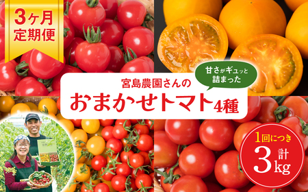 [先行予約][定期便3回]おまかせトマト4種 3kg×3回 計9kg 八代市産 宮島農園 とまと 野菜 [2024年12月上旬より順次発送]