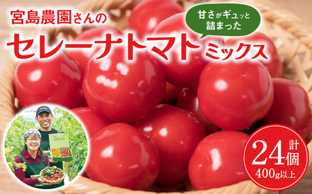 [先行予約]セレーナトマト サイズミックス 24個 400g以上 八代市産 宮島農園 野菜 とまと サラダ[2024年11月下旬より順次発送]