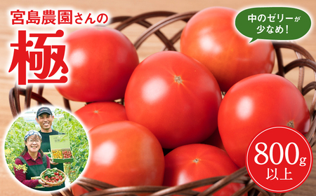 [先行予約]最高峰 トマト 極 800g 八代市産 宮島農園 甘い 野菜 やさい [2025年2月より順次発送]