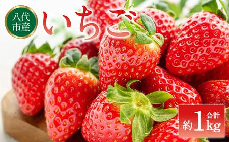 ys\z  1kgi250g×4pbNj C`S  ʕ t[c { W X[W[ y2026N2{菇z