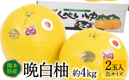 ys\z F{sY ӔM 2LTCY 2ʓ 4kg ʕ  t[c k ʕ Yi  y2025N12{菇z