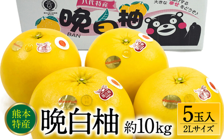 ys\z F{sY ӔM 2LTCY 5ʓ 10kg ʕ  t[c k ʕ Yi  y2025N12{菇z