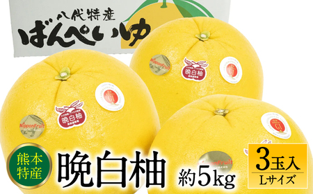 ys\z F{sY ӔM LTCY 3ʓ 5kg ʕ  t[c k ʕ Yi  y2025N12{菇z