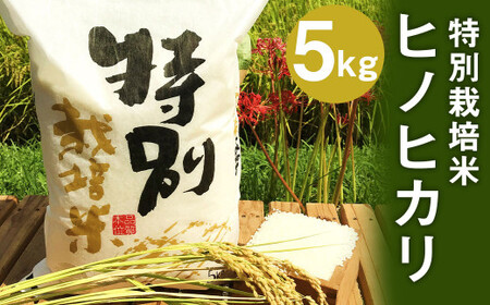 [令和5年産]特別栽培米 ヒノヒカリ 5kg