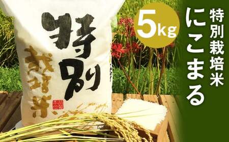 [令和5年産]特別栽培米 にこまる 5kg
