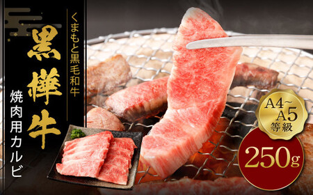 くまもと黒毛和牛 黒樺牛 A4~A5等級 焼肉用 カルビ 250g