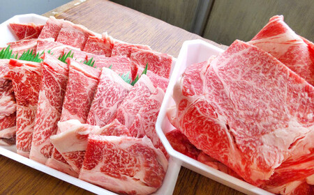 熊本県産 赤牛 切り落とし ・ 焼肉 切り落とし セット 計1kg