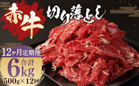 y12ցzԋ ؂藎Ƃ 500g