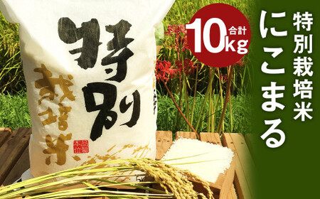 [令和6年産]特別栽培米 にこまる 10kg (5kg×2)精米 白米 お米 [2024年10月下旬〜2025年10月下旬発送予定]