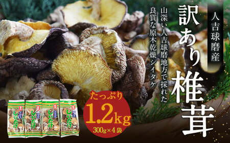 人吉球磨産 しいたけ 訳あり 『業務用椎茸』 300g×4袋[計1.2kg] 干し椎茸 干ししいたけ 乾椎茸 お取り寄せ