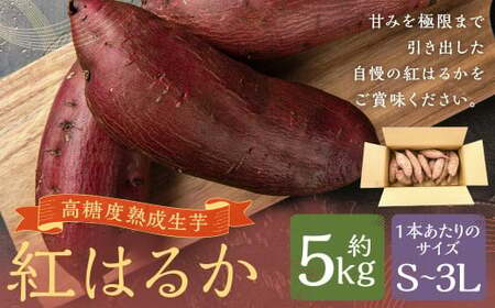 [3Lサイズ]熊本県産 熟成高糖度 紅はるか 熟成生芋5kg S〜3Lサイズ さつま芋 さつまいも 芋 野菜 焼芋 特産品 国産 熊本県 人吉市 九州 常温 ふるさと納税