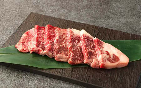 阿蘇あか牛 サーロイン 約500g(約100g×5袋) あか牛 お肉 肉 牛肉 小分け 冷凍