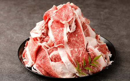 くまもと黒毛和牛プレミアム和王 切り落とし 約1kg(約500g×2)牛肉 和牛 和王 肉 牛 お取り寄せ