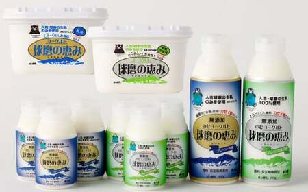 球磨の恵み ヨーグルト 2パック & ドリンク ヨーグルト 8本 セット 乳製品