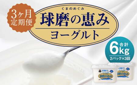 [3ヶ月定期便]球磨の恵みヨーグルト 加糖 1kg×2パック×3回 合計6kg