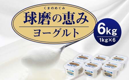 球磨の恵 ヨーグルト (加糖) 1kg 6パック 合計6kg