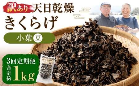 [3ヶ月定期便] [訳あり] 天日乾燥 きくらげ 「小葉 (豆)」 50g×7パック 計350g (合計約1050g) 3回定期便 訳アリ 理由あり わけあり キクラゲ 木耳 乾燥きくらげ 乾燥キクラゲ 木耳 肉厚 常温 九州 熊本県 人吉市