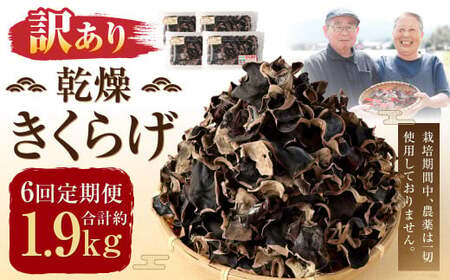 y6ցzy󂠂z 炰 320g