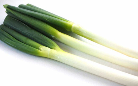 s\ l コ񂿂 lM L × 35{  ˂ lM K ˂ K y2025N11{菇\z