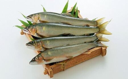 VRiⓀj1kg 5?10     BY F{Y lgY