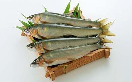 VRiⓀj 2kg 10?20     BY F{Y lgY