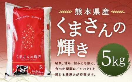 [令和7年産] くまさんの輝き5kg [2026年9月下旬迄発送予定] お米 白米 ご飯 国産 単一原料米 熊本県 人吉市