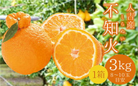 [先行予約] 人吉産 不知火(しらぬい)3kg フルーツ 果物 くだもの 柑橘 デコポン でこぽん お取り寄せ[2027年1月上旬〜2月上旬発送予定]