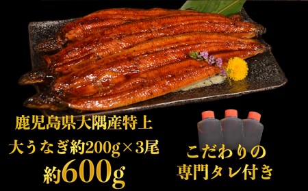 特上うなぎ 600g(200g×3尾) タレ付き うなぎ 鰻