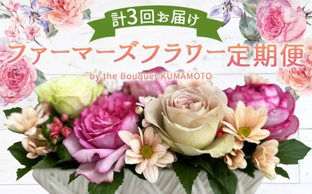 ファーマーズフラワー by the Bouquet KUMAMOTO[定期便年3回] 花 フラワーアレンジメント