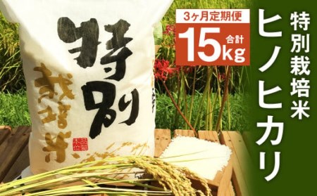 [3ヶ月定期便] 特別栽培米 ヒノヒカリ 5kg