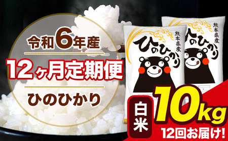 令和6年産 [12ヶ月定期便] ひのひかり 白米 10kg 5kg×2袋 計7回お届け 熊本県産 こめ コメ 無洗米 精米 荒尾市 ひの 米 定期 [お申込み月の翌月から出荷開始] 美味しい米 お米 熊本県産米 くまもと米