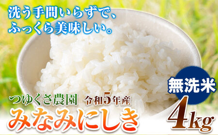 米 令和5年産 みなみにしき 無洗米 4kg 熊本県 荒尾市産 米 無洗米 つゆくさ農園 [30日以内に出荷予定(土日祝除く)] 米 こめ コメ 無洗米 米