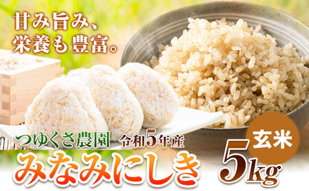 米 令和5年産 みなみにしき 玄米 5kg 熊本県 荒尾市産 米 玄米 つゆくさ農園 [30日以内に出荷予定(土日祝除く)] 米 こめ コメ 玄米 米