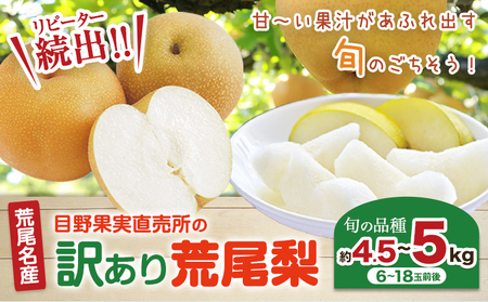 [先行予約] 訳あり 梨 荒尾梨 約 4.5kg 〜 5kg (6〜18玉前後) 秋 旬 目野果実直売所[7月下旬-10月上旬頃出荷]熊本県 荒尾市産 なし フルーツ 果物 新鮮 愛甘水 幸水 秋麗 豊水 あきづき のいずれか 品種の指定不可 ご家庭用 美味しい 旬 ジューシー フルーツ