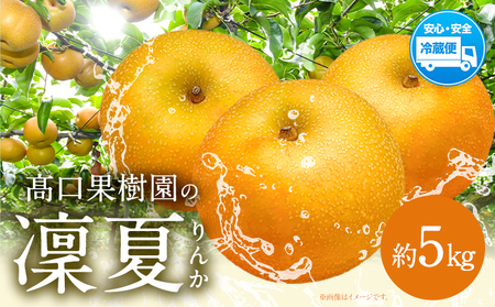 [2026年 先行予約] 梨 旬の梨 凜夏 和梨 約 5kg 秋 旬 熊本県 荒尾市産 髙口果樹園[2026年8月中旬-9月上旬頃出荷]フルーツ 果物 美味しい梨 旬の梨 ジューシー梨 フルーツ梨 st-p