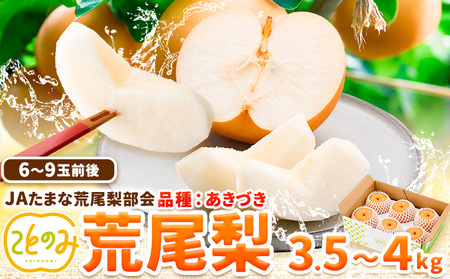 梨 秀品 荒尾梨 新ブランド(愛称) 「ことのみ」 あきづき  約3.5～4kg フルーツ 果物 旬 贈答 ギフト 先行予約 《9月上旬-9月中旬頃出荷》熊本県荒尾市産含む JAたまな荒尾梨部会  美味しい梨 旬の梨 ジューシー梨 フルーツ梨