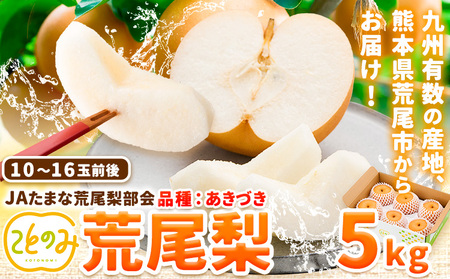 梨 秀品 荒尾梨 新ブランド(愛称) 「ことのみ」 あきづき 5kg フルーツ 果物 旬 贈答 ギフト 先行予約 《9月上旬-9月中旬頃出荷》熊本県荒尾市産含む JAたまな荒尾梨部会  美味しい梨 旬の梨 ジューシー梨 フルーツ梨
