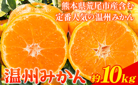 みかん 温州みかん 約 10kg 熊本県 荒尾市産含む [11月上旬-12月上旬頃出荷]送料無料 熊本県 荒尾市 フレッシュフーズ 柑橘 フルーツ ミカン 蜜柑 果物 美味しいみかん 旬のみかん ジューシーみかん フルーツみかん
