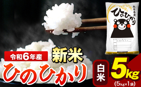 令和6年産 新米 早期先行予約受付中 ひのひかり 白米 5kg [11月-12月より出荷予定] 5kg×1袋 熊本県産(荒尾市産含む) 米 精米 ひの