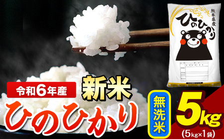 令和6年産 新米 早期先行予約受付中 ひのひかり 無洗米 5kg [11月-12月より出荷予定] 5kg×1袋 熊本県産(荒尾市産含む) 米 精米 ひの