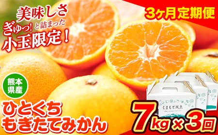 訳あり みかん ひとくちもぎたてみかん約7kg (3.5kg×2箱) 3ヶ月定期便 S-3Sサイズ 訳あり SS 3S ご家庭用 21kg 熊本県産 (荒尾市産含む) 小玉 ご家庭用 フルーツ 熊本 ちょっと 期間限定 フルーツ 秋 旬 柑橘 小玉 温州みかん[9月・10月・11月出荷]