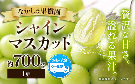 シャインマスカット 約700g ( 1房 ) マスカット ぶどう 葡萄 フルーツ 果物 旬 なかしま果樹園 [8月下旬-9月末頃出荷] 熊本県 荒尾市 ギフト 美味しいシャインマスカット 旬の ジューシー フルーツ